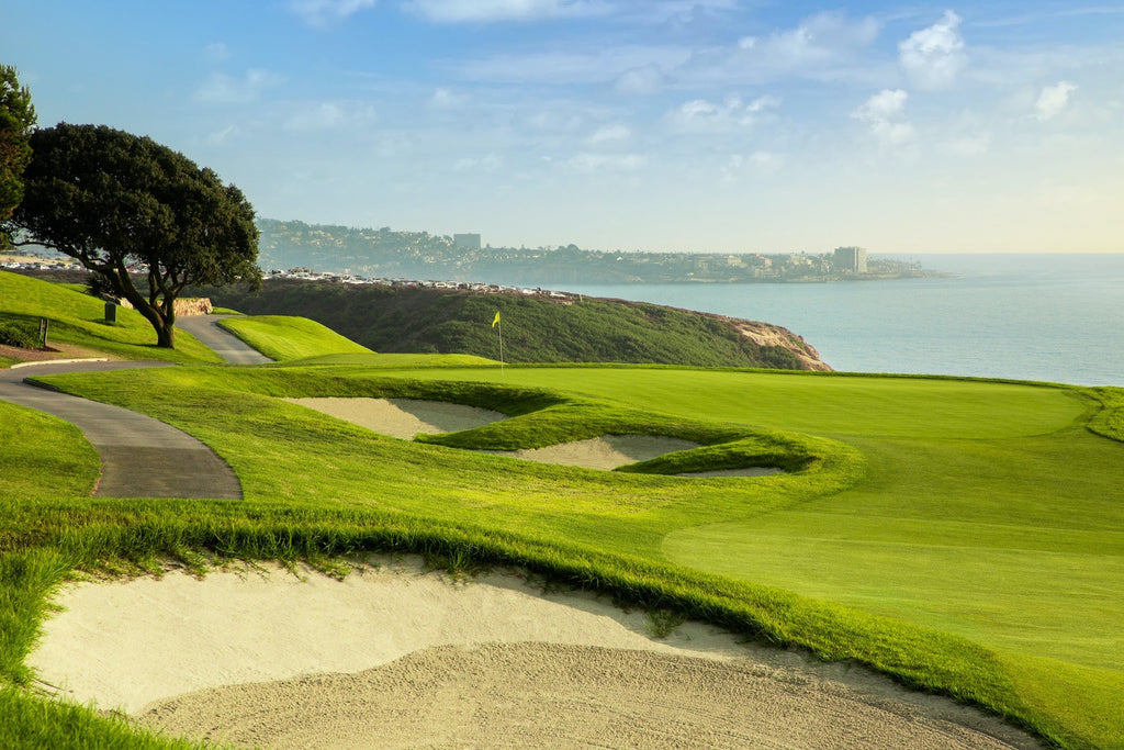 PlayTorrey Pines on SkyTrak simulation software